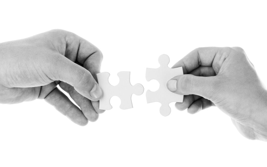 partnerships and llcs