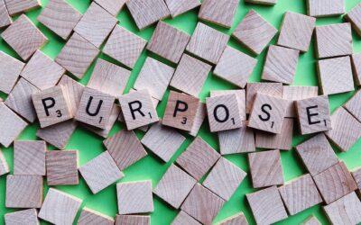 Finding Purpose In Your Work